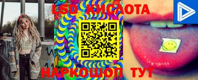 винт Ставрополь