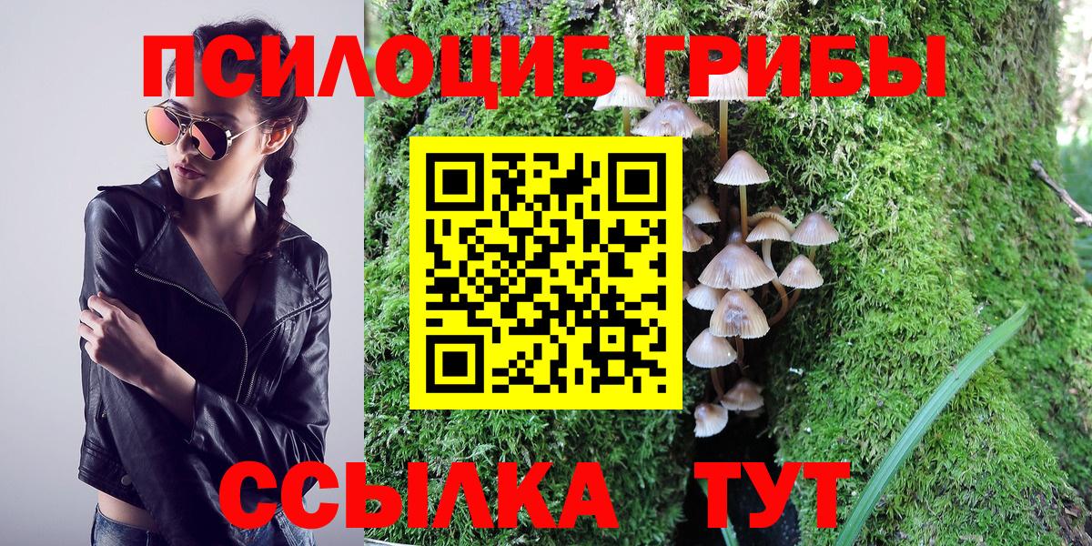 Галлюциногенные грибы Cubensis Усолье-Сибирское